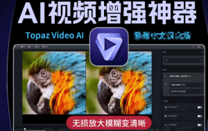 Topaz Video AI特殊版(视频修复软件) ——人工智能视频增强软件-素材资源网