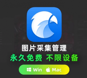 价值199元—Eagle绿色永久解锁版，电脑上最好的图片素材整理软件-素材资源网
