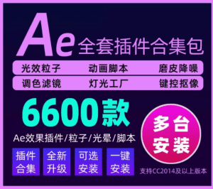 AE视频特效制作软件，6600款插件合集包，一键安装版本-素材资源网
