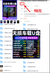 淘宝98元购买“柏林之声”2024车载U盘，无损Mp3格式【41GB】-素材资源网