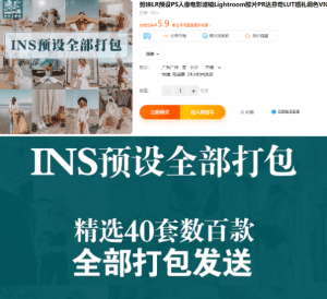 共计40套左右，某宝上买的INS网红调色预设合集！-素材资源网
