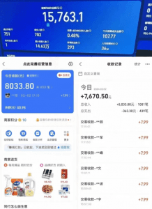 2024年【蓝海】项目 支付宝无人直播 小白也能日入1000+ 实操教程-素材资源网