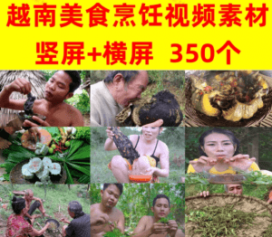 抖音热门越南美食 AK 传媒视频素材文件—抖音高播放视频素材-素材资源网