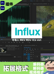 剪辑软件增强插件!导入MKV/MOV多种格式编码工具,这也太顶了吧 Influx v1.4.2 Win/Mac-素材资源网