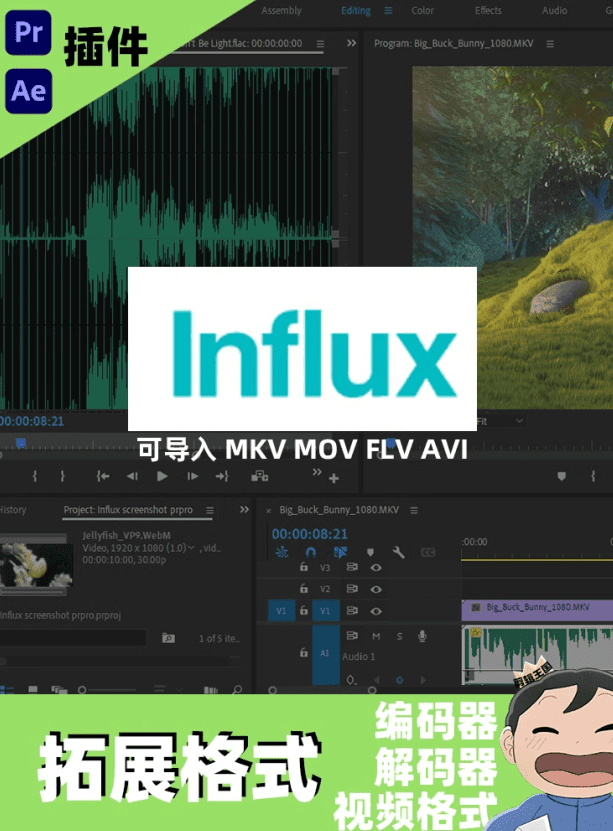 剪辑软件增强插件！导入MKV/MOV多种格式编码工具，这也太顶了吧 Influx v1.4.2 Win/Mac-素材资源网