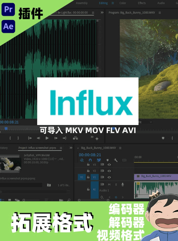 剪辑软件增强插件！导入MKV/MOV多种格式编码工具，这也太顶了吧 Influx v1.4.2 Win/Mac - 素材资源网-素材资源网