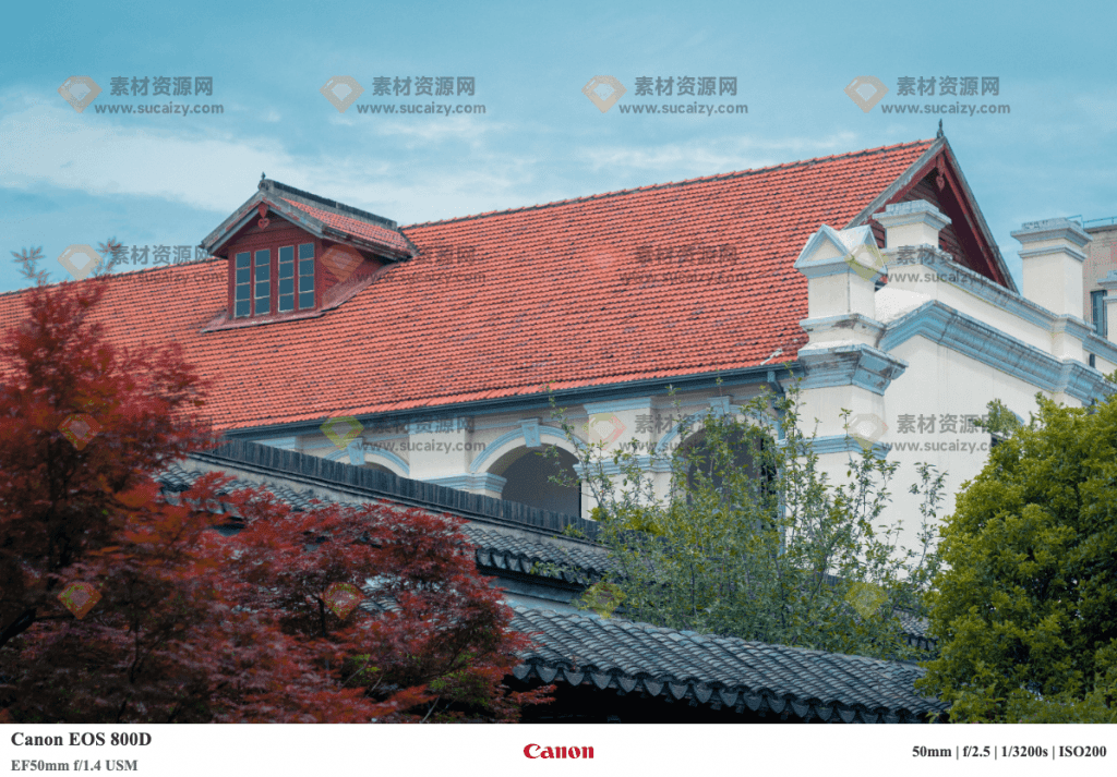 20240409202728729-1712665645172