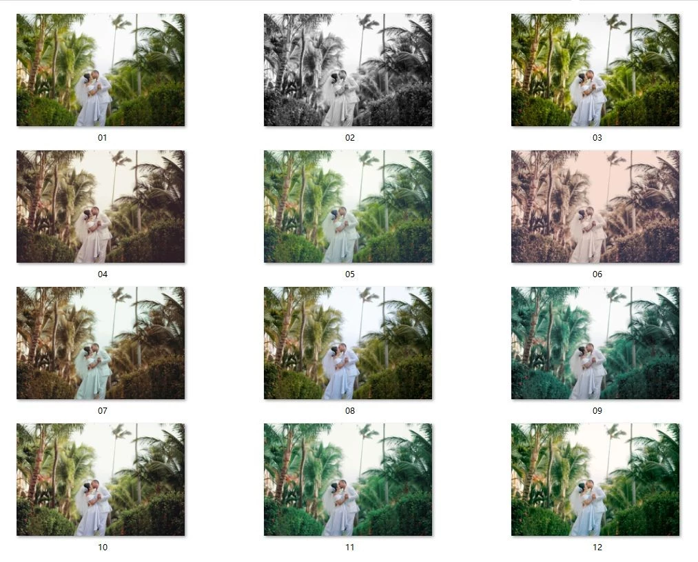 20240424203648136-7ff432d910fb24530c93b42f80e7db0f