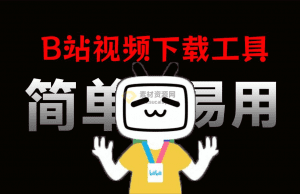 最新版来了！B站视频下载工具，支持最高8K画质，最纯净的B站下载器，支持封面弹幕视频下载，完全免费！-素材资源网