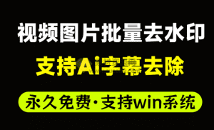 Ai视频图片批量去水印工具，支持字幕水印去除，支持批量添加去除图片视频水印，自媒体神器！水印管家-素材资源网