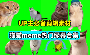 UP主必备！B站某音热门绿幕视频素材，180套猫猫meme动态绿幕合集包，含背景图BGM，含使用教程-素材资源网