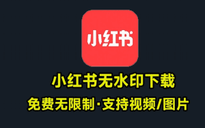 小红书封面视频无水印下载解析器！纯本地运行，支持无水印下载，无广告，无限制下载小红书图片-素材资源网