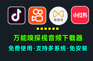 免费万能嗅探下载器！支持视频号、抖音、快手、公众号、小红书等多平台视频音频解析下载，支持win和mac-素材资源网