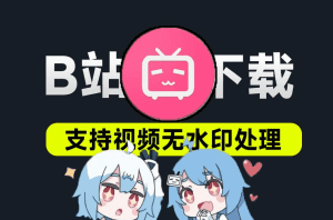 B站视频下载工具！支持多画音质选择，合集、弹幕下载，支持去水印等操作，免费工具-素材资源网