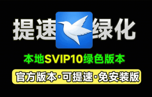 打开即是svip10！可提速，X雷网盘官方绿色免安装精简版，可提速下载资源，本地会员版，非破解-素材资源网