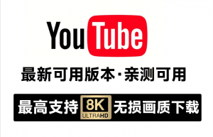 Youtube视频最新下载器！亲测可用，支持8K画质批量解析，无广告免安装，油管视频下载工具-素材资源网
