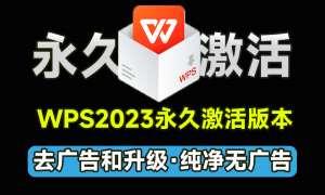 趁没失效，赶紧激活！WPS2023专业增强永久激活版，内置永久序列码，内置VBA去除广告和升级-素材资源网