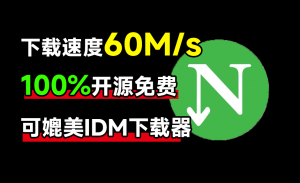 下载速度60M/s，直接跑满带宽！最新NDM中文绿色汉化版，内附详细安装使用教程，平替IDM下载器-素材资源网