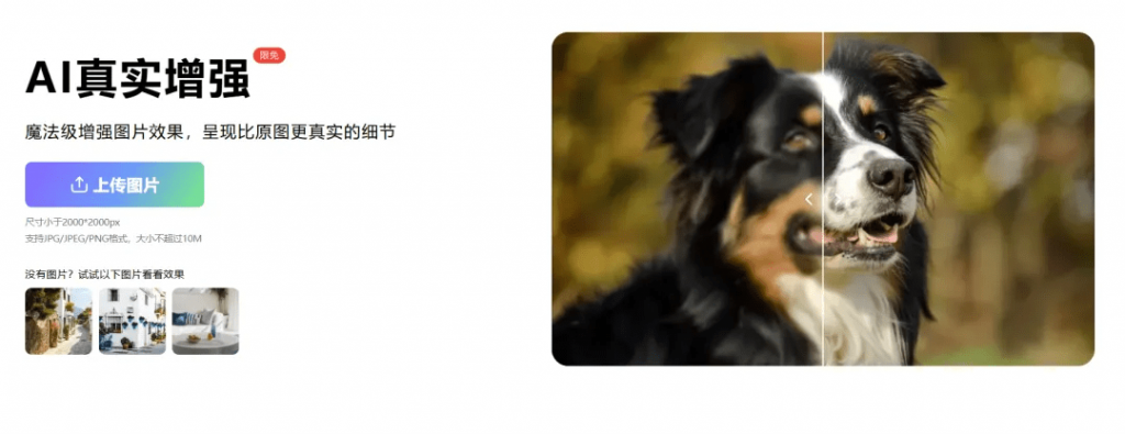 ![20241118220406483-1731938640045