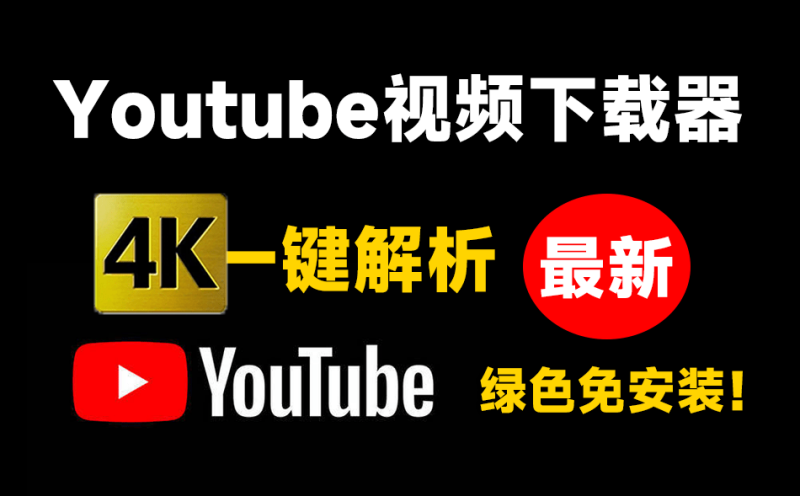 Youtube最新下载器！支持4K画质解析，使用简单，粘贴即可一键下载，无广告免登陆使用 DLNow Video Downloader-素材资源网