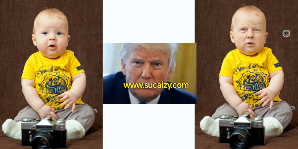 20241210170455305-1733821491155