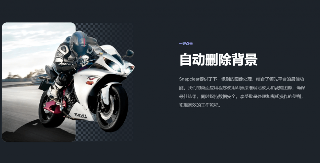 20241228222322345-1735395793703