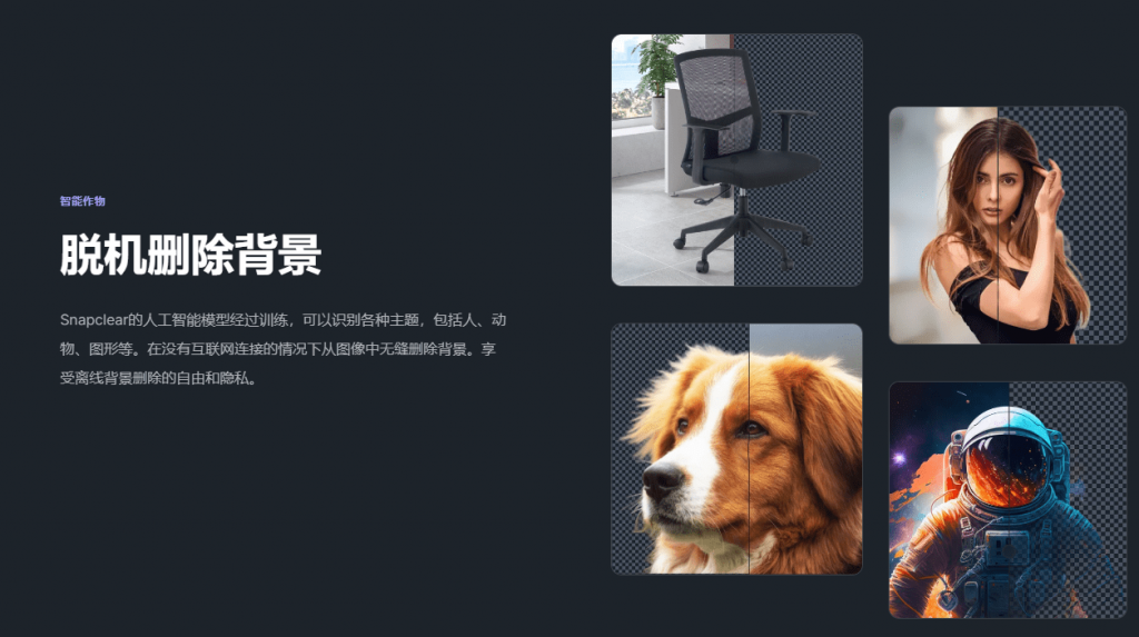 20241228222345811-1735395820681