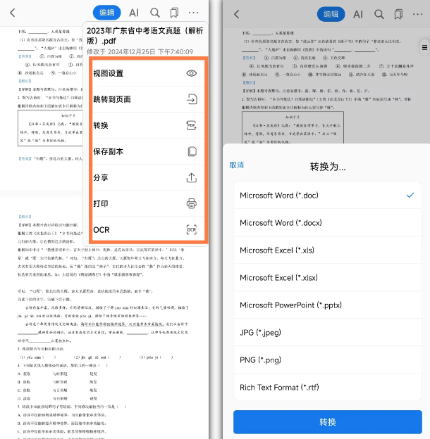 20250101224746628-1735742864479