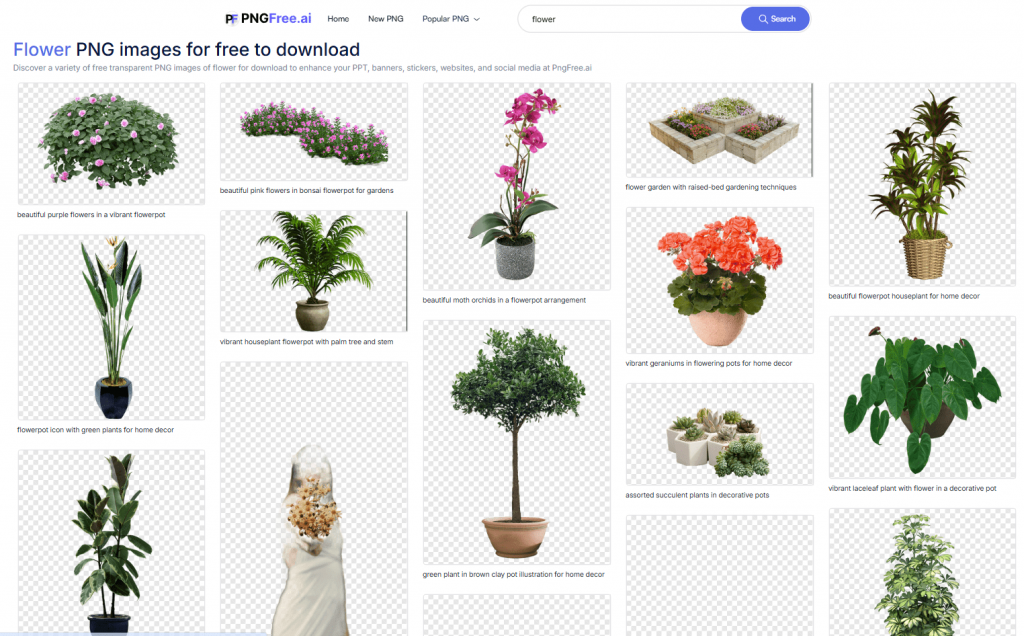 20250112164411901-1736671447852