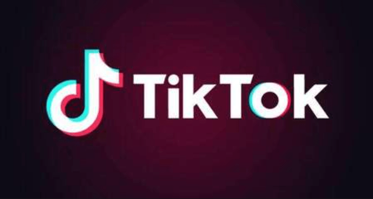 Tiktok下载站！免费且好用，支持单个或者是批量下载所有 TikTok 视频，免安装在线使用-素材资源网