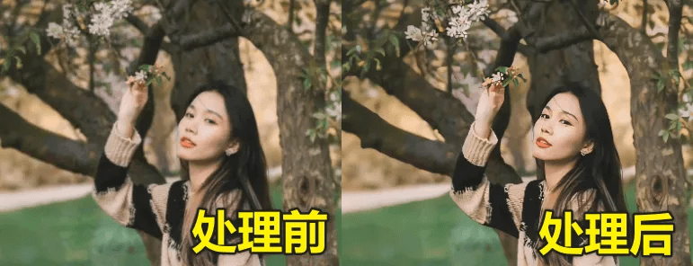 20250419135147371-1745041922538