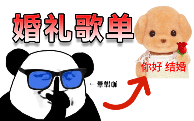 自费购买素材！2025年婚礼结婚喜庆歌单，共20套，分类清晰，结婚庆现场主持歌曲歌单素材-素材资源网