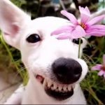 小芒果-素材资源网