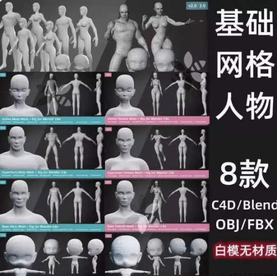 3D基础资产模型！人体基础3D模型，含绑定，女人小孩儿童 身体 手脚 肢体（C4D blend fbx obj格式）-素材资源网