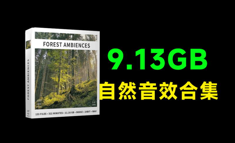 超9.13GB！顶级自然环境音效合集，含鸟类的鸣叫和风声、树声等，133个纯净的自然森林环境音效素材-素材资源网