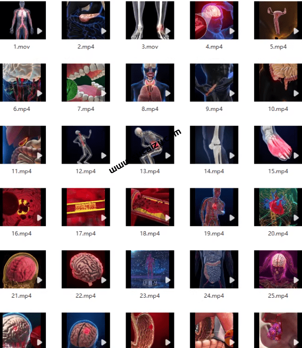 20251218213900817-1766065136260