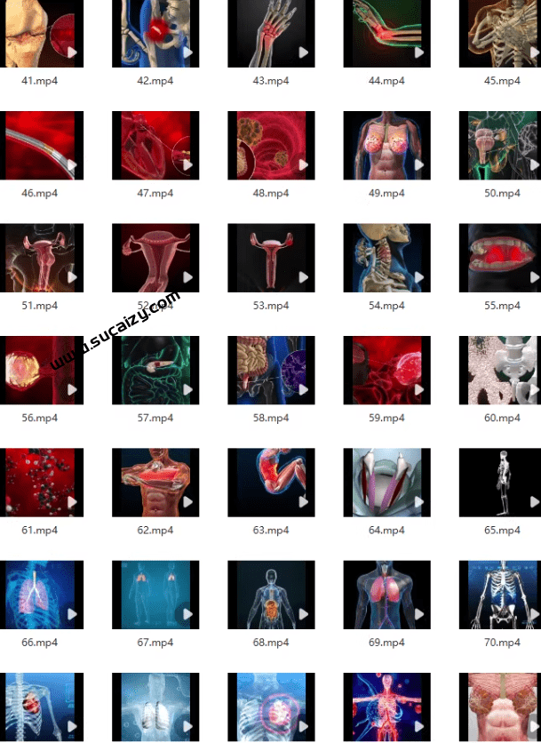 20251218213920313-1766065156328