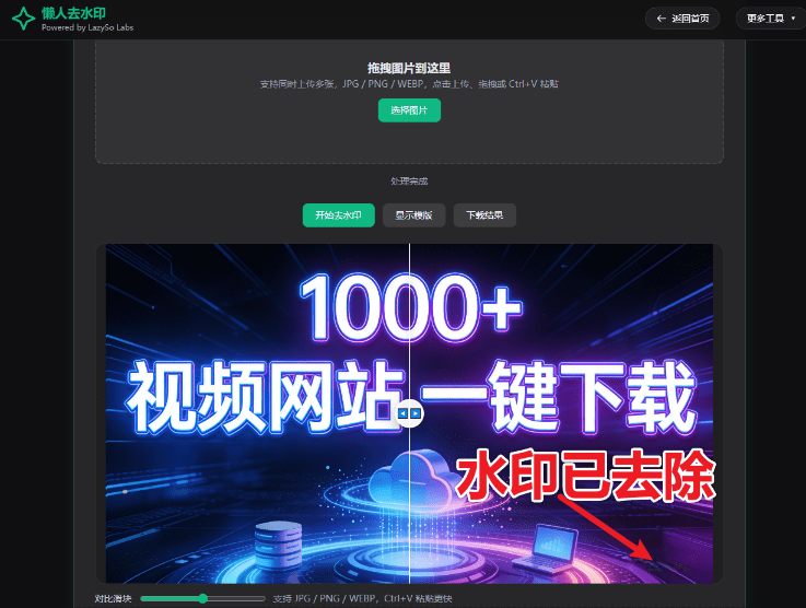 20260224134732203-1771912049095