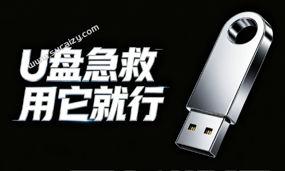 Windows专属U盘修复工具来了！一键文件救援和无损修复，完全免费用，打开即可运行 U盘急救箱-素材资源网
