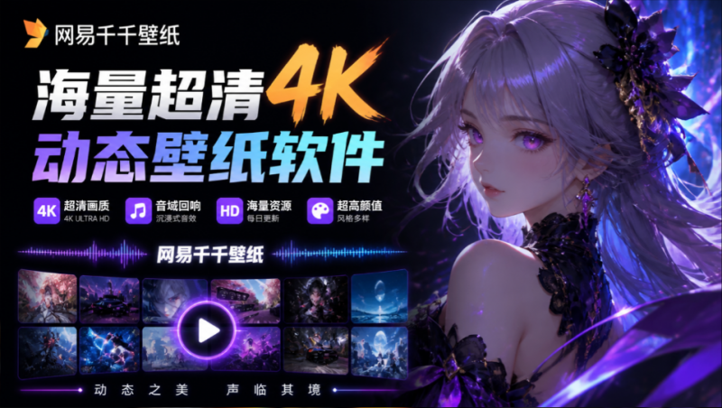 夯爆了！网易官方出品，海量超清4K动态壁纸，甚至还有超火的音域回响壁纸，超高颜值，网易千千壁纸-素材资源网